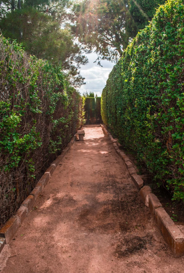 Paisaje tranquilo de retiro de bienestar ideal para parar, reflexionar y vivir más despacio